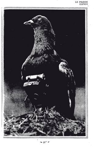 Neubronner Developed the Pigeon Camera
